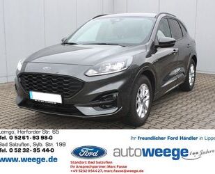 Ford Kuga Gebrauchtwagen