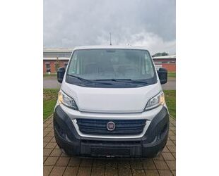 Fiat Ducato Gebrauchtwagen