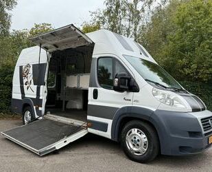 Fiat Ducato Gebrauchtwagen