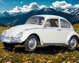 VW Käfer Gebrauchtwagen