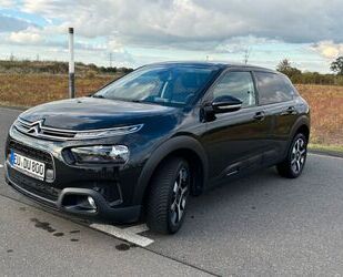 Citroen C4 Cactus Gebrauchtwagen