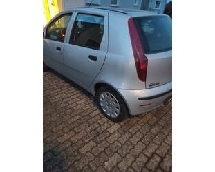 Fiat Punto Gebrauchtwagen