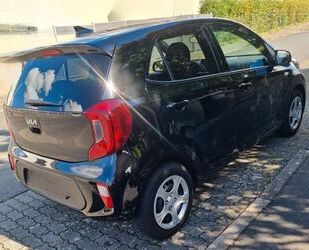 Kia Picanto Gebrauchtwagen