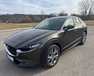 Mazda CX-30 Gebrauchtwagen
