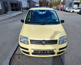 Fiat Panda Gebrauchtwagen