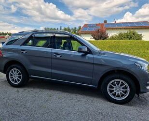BMW GLE 250 