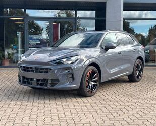 Cupra Terramar Gebrauchtwagen