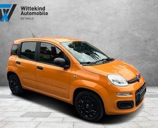 Fiat Panda Gebrauchtwagen