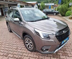 Subaru Forester Gebrauchtwagen