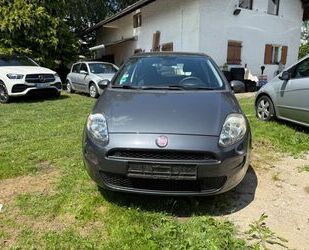 Fiat Punto Gebrauchtwagen