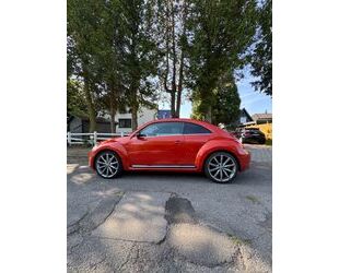 VW Beetle Gebrauchtwagen