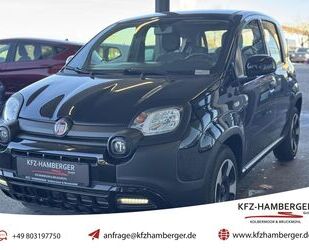 Fiat Panda Gebrauchtwagen