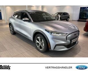 Ford Mustang Mach-E Gebrauchtwagen