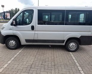 Fiat Ducato Gebrauchtwagen