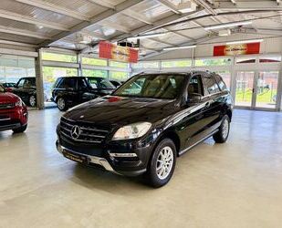 Mercedes-Benz ML 250 Gebrauchtwagen