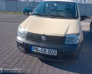 Fiat Panda Gebrauchtwagen