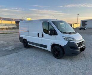 Fiat Ducato Gebrauchtwagen
