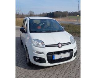Fiat Panda Gebrauchtwagen