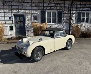 Austin Healey Andere Gebrauchtwagen