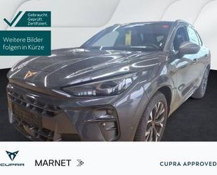 Cupra Terramar Gebrauchtwagen