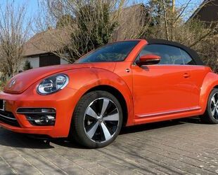 VW Beetle Gebrauchtwagen