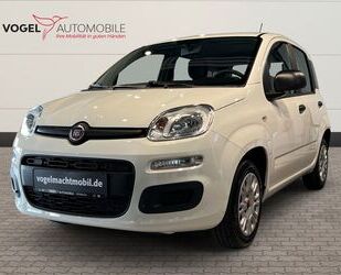 Fiat Panda Gebrauchtwagen