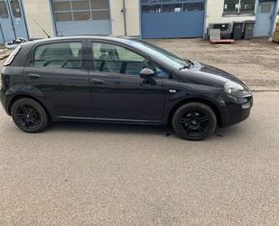 Fiat Punto Gebrauchtwagen