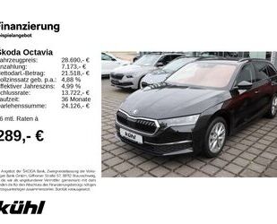 Skoda Octavia Gebrauchtwagen
