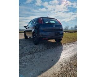 Fiat Punto Gebrauchtwagen