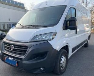 Fiat Ducato Gebrauchtwagen