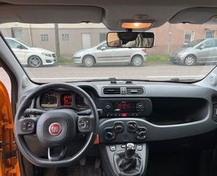 Fiat Panda Gebrauchtwagen