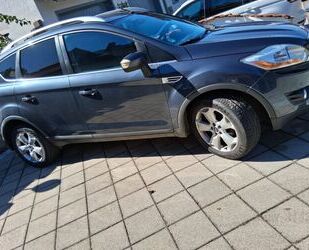 Ford Kuga Gebrauchtwagen