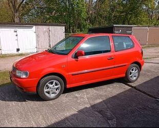 VW Polo Gebrauchtwagen