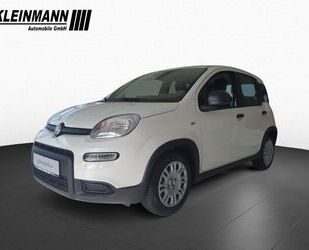 Fiat Panda Gebrauchtwagen