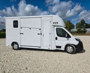 Fiat Ducato Gebrauchtwagen