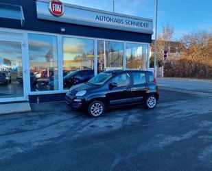 Fiat Panda Gebrauchtwagen