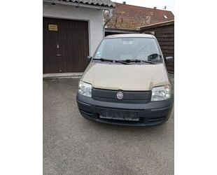 Fiat Panda Gebrauchtwagen