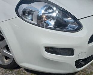 Fiat Punto Gebrauchtwagen