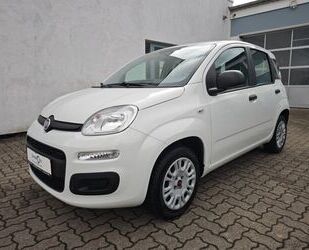 Fiat Panda Gebrauchtwagen