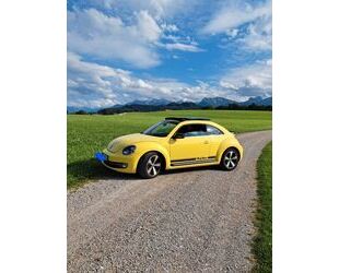 VW Beetle Gebrauchtwagen