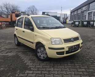 Fiat Panda Gebrauchtwagen