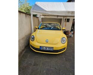 VW Beetle Gebrauchtwagen