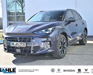 Cupra Terramar Gebrauchtwagen