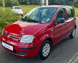 Fiat Panda Gebrauchtwagen