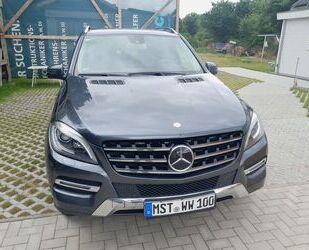 Mercedes-Benz ML 250 Gebrauchtwagen