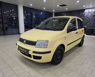 Fiat Panda Gebrauchtwagen