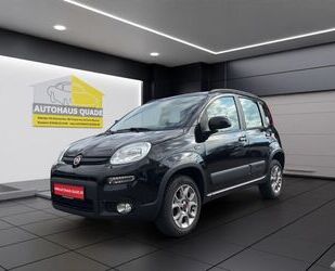 Fiat Panda Gebrauchtwagen