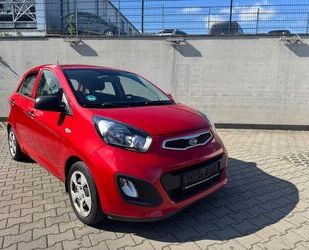 Kia Picanto Gebrauchtwagen