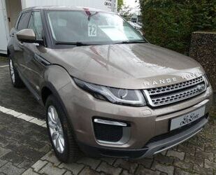 Land Rover Range Rover Evoque Gebrauchtwagen