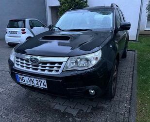 Subaru Forester Gebrauchtwagen